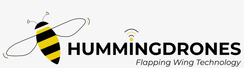 Hummingdrones - ‹ - Graphic Design, transparent png download