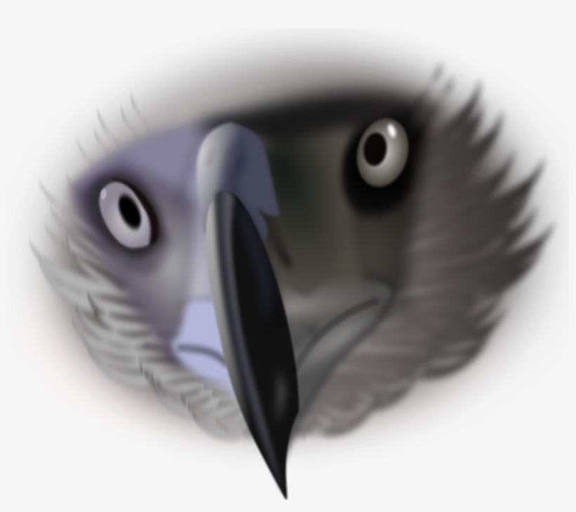 This Free Clipart Png Design Of Eagle Face Clipart, transparent png download