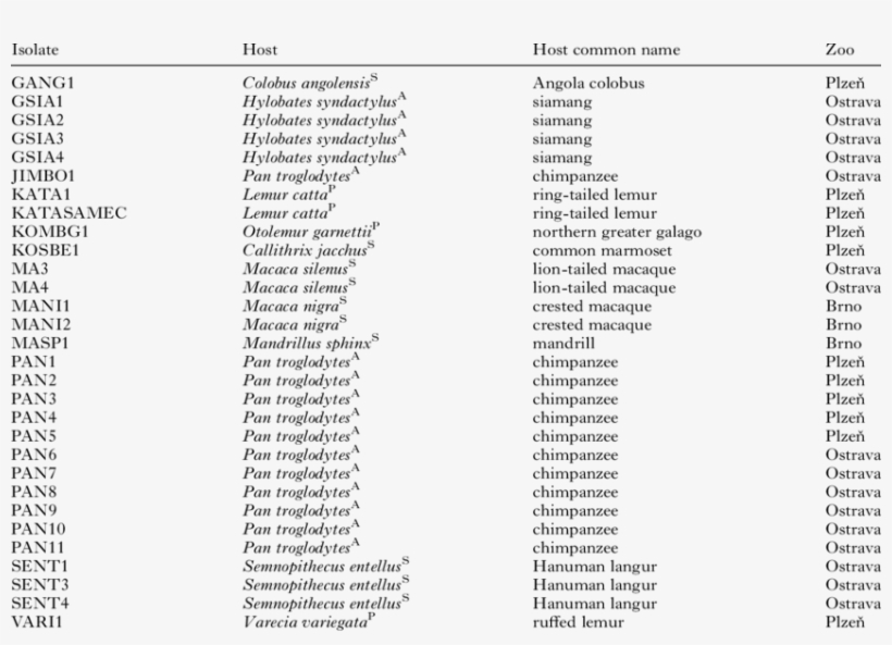 List Of Trichomonad Strains Included In The Study - List Of Full Names, transparent png download