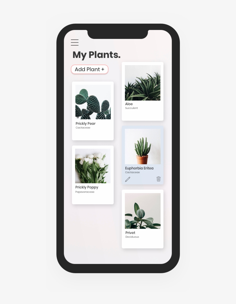My Plants, transparent png download