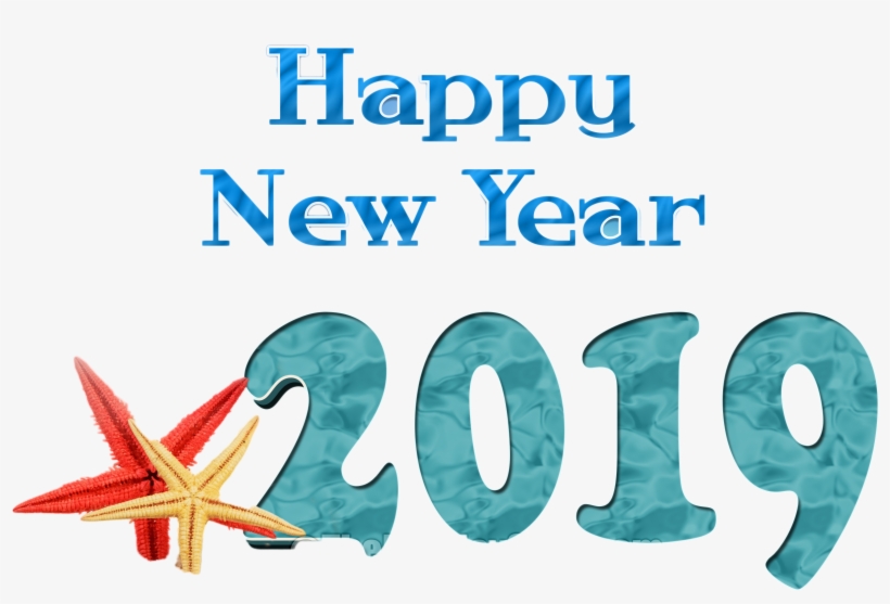 Happy New Year Png Image - Starfish, transparent png download