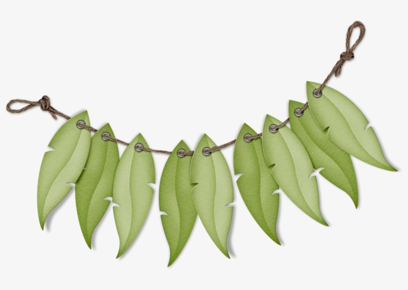 Parrot, transparent png download