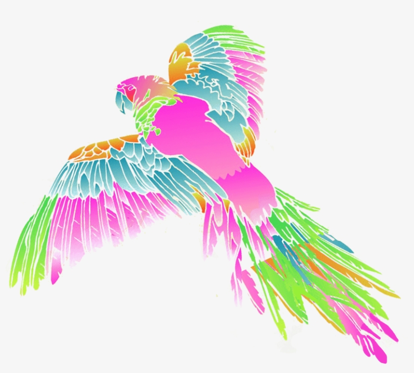 2019 Matthew Williamson - Illustration, transparent png download