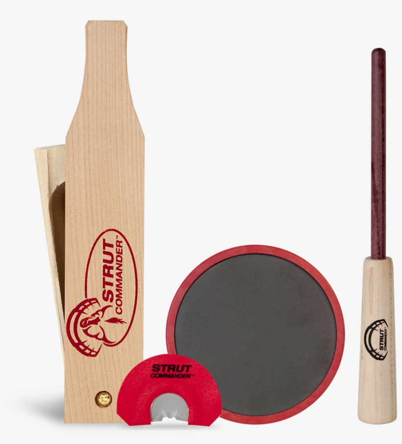 Cricket, transparent png download
