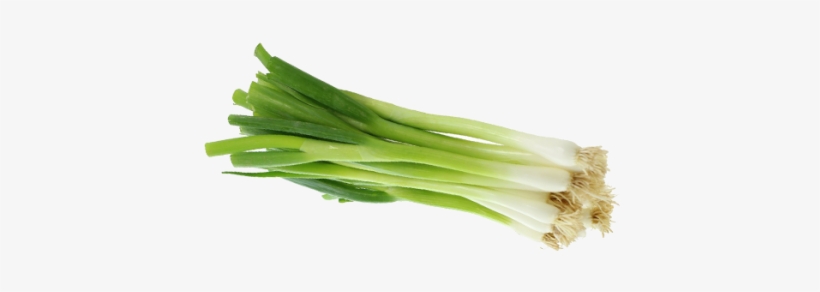 Green Onion Png - Welsh Onion, transparent png download