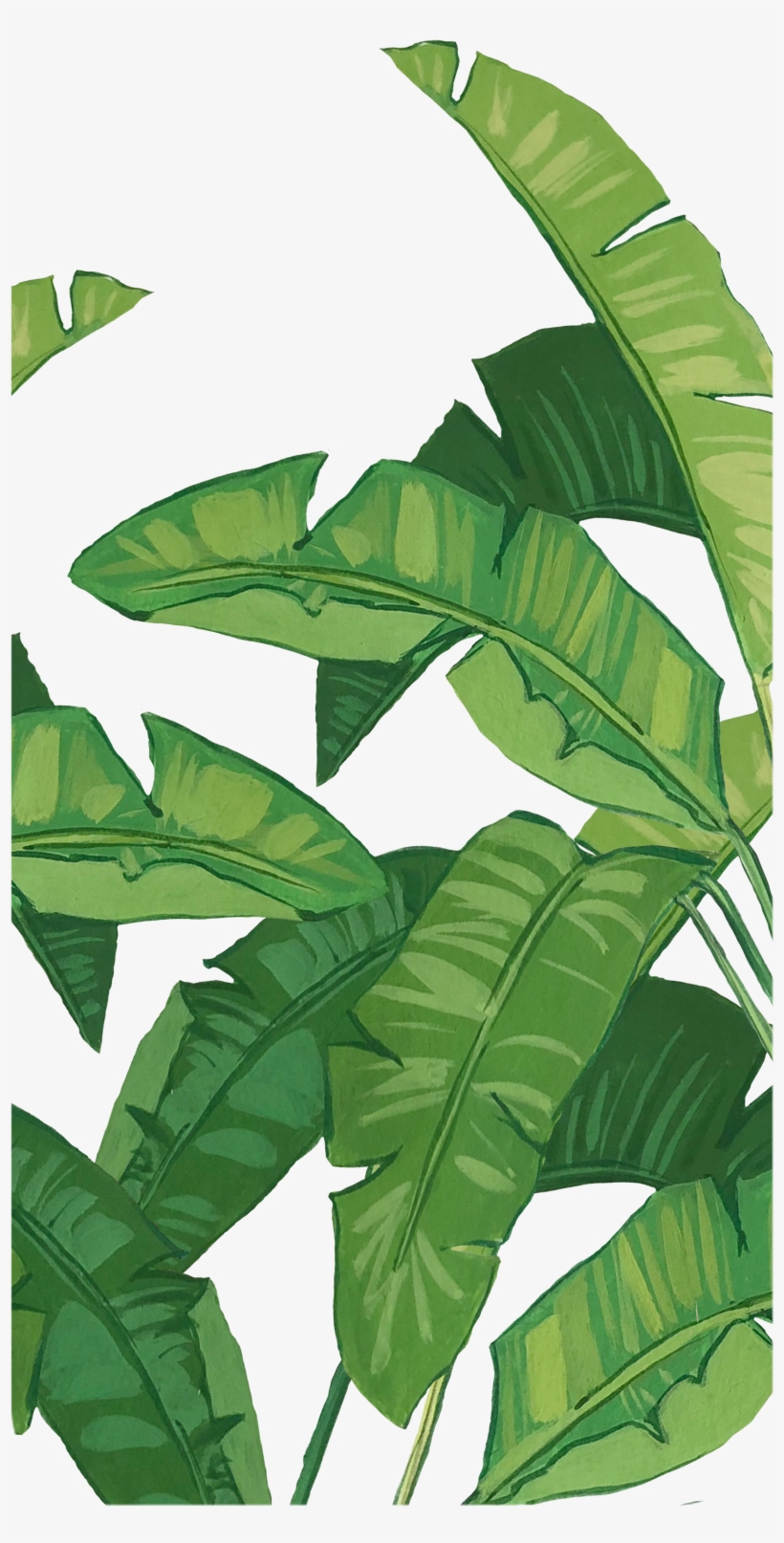 #casetify #iphone #art #design #nature #bananaleaves - Illustration, transparent png download