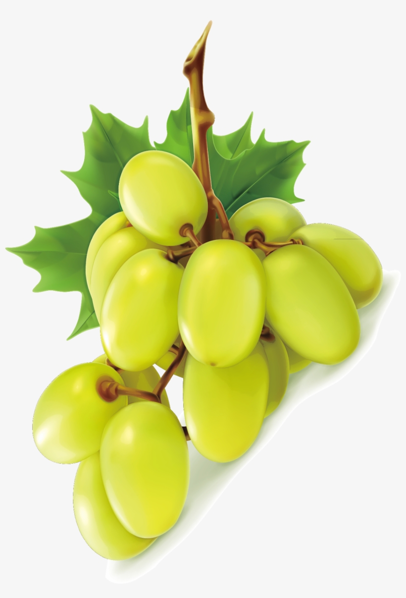 Green Grapes- Grape Png Image & Grape Clip Art - Uva Verde Sin Semilla, transparent png download