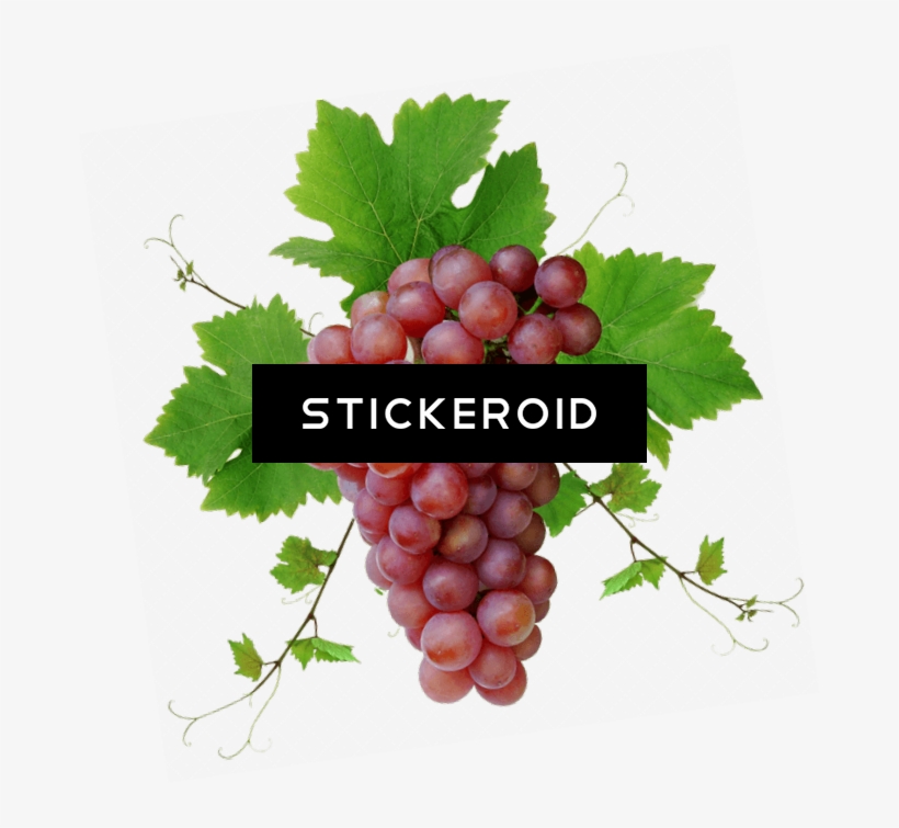 Red Grape Png With - Red Grapes, transparent png download