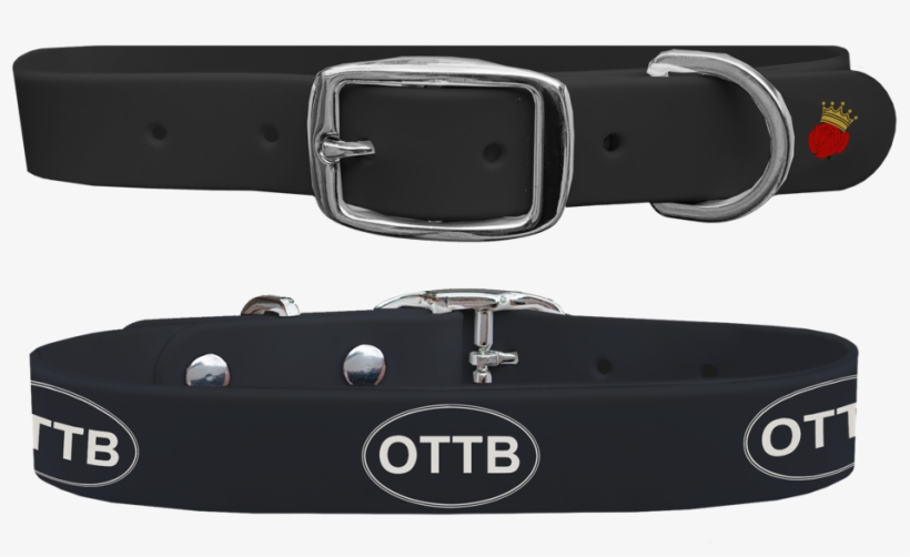 Ottb Black Dog Collar - Buckle, transparent png download