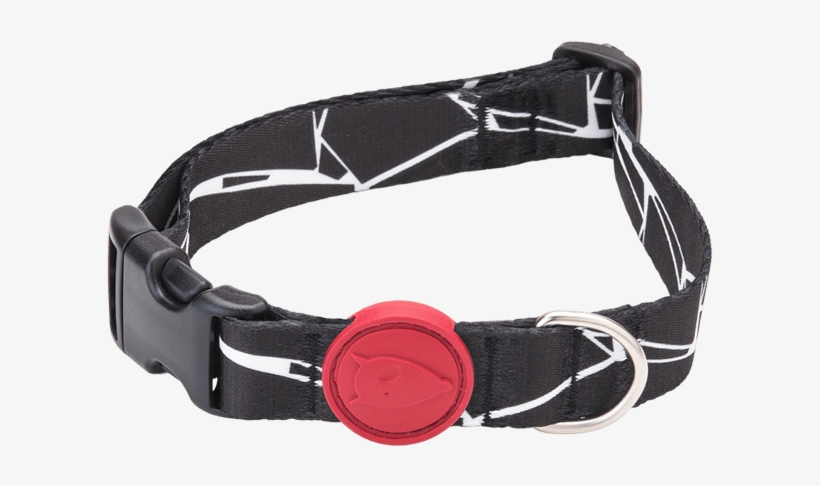 Dog Collar - Belt, transparent png download