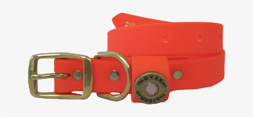 Belt, transparent png download