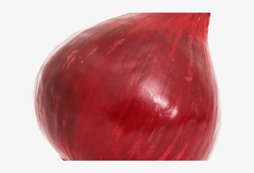 Red Onion, transparent png download