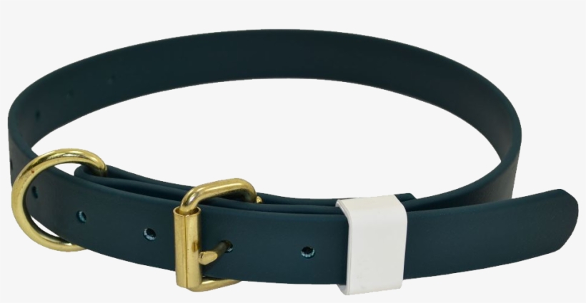 Dog Collar Png - Belt, transparent png download