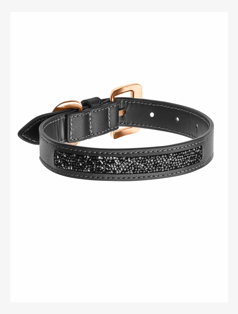 Strap, transparent png download