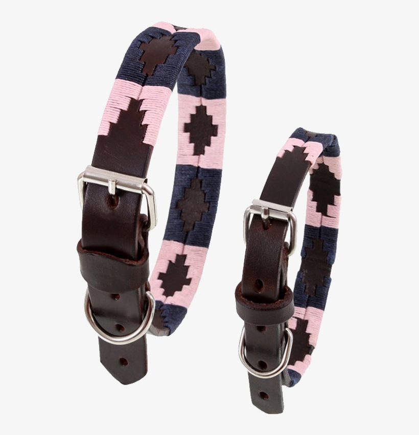 Pampeano Hermoso Leather Dog Collar - Buckle, transparent png download