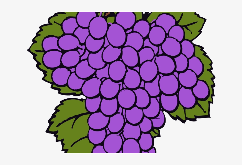 Grape Png Image & Grape Clip Art - Raisin Clipart, transparent png download