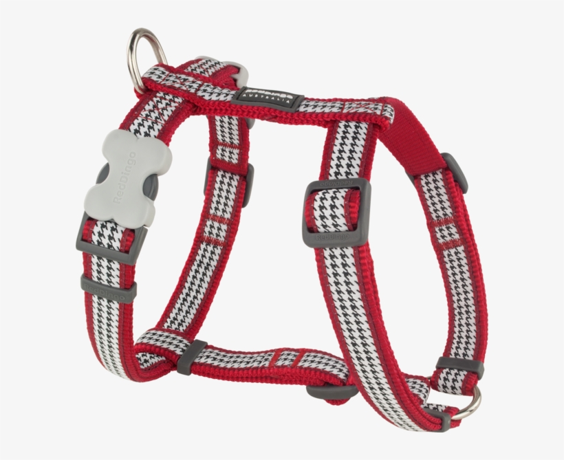 Belt, transparent png download