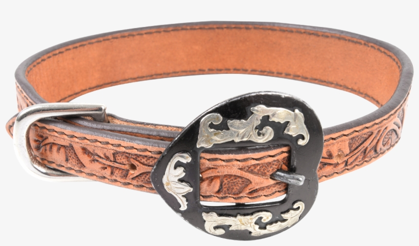 Dog Collar - Buckle, transparent png download