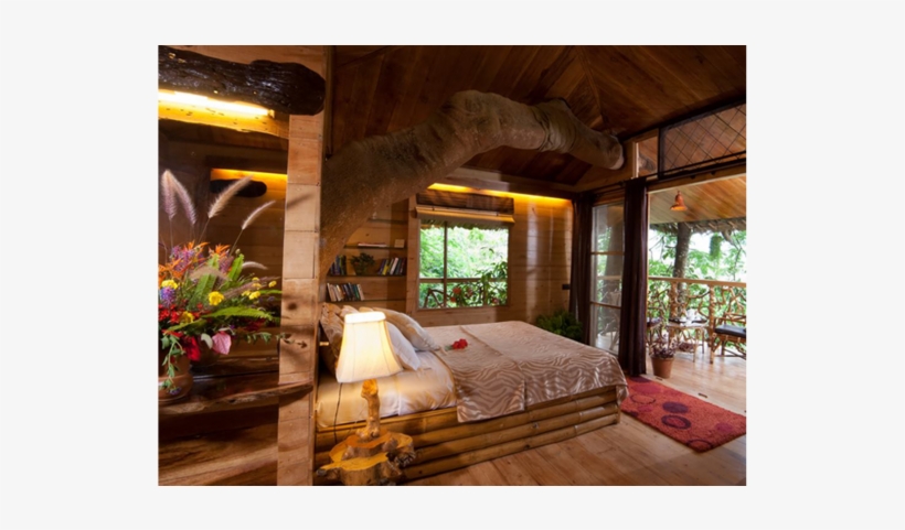 View Of The Tree House Resort Tranquil, Tranquil Resort - Wayanad Tree House Resorts, transparent png download