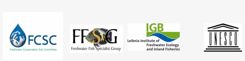 Blueprint-header - Bee, transparent png download