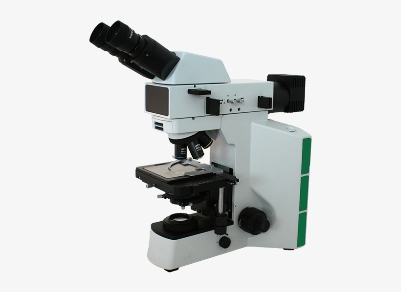 Clipart Black And White Fein Optic Microscopes Microcopes - Reflected Upright Light Microscope, transparent png download