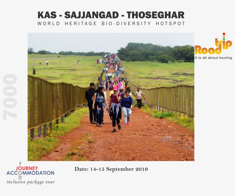Kas Plateau Sajjangad Thoseghar Chalkewadi - Nordic Walking, transparent png download