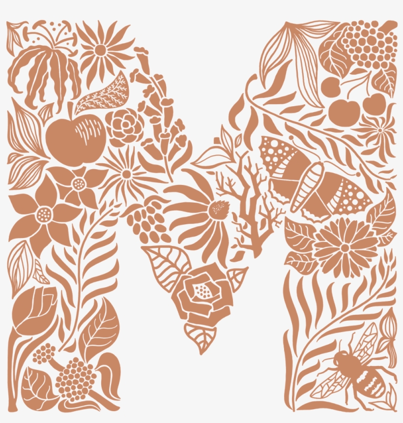 Flowers Manuela In Wellington - Illustration, transparent png download