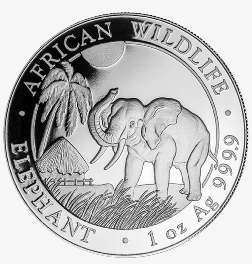 2017 Somalian Elephant 1oz Silver Coin - Elephant Coins, transparent png download