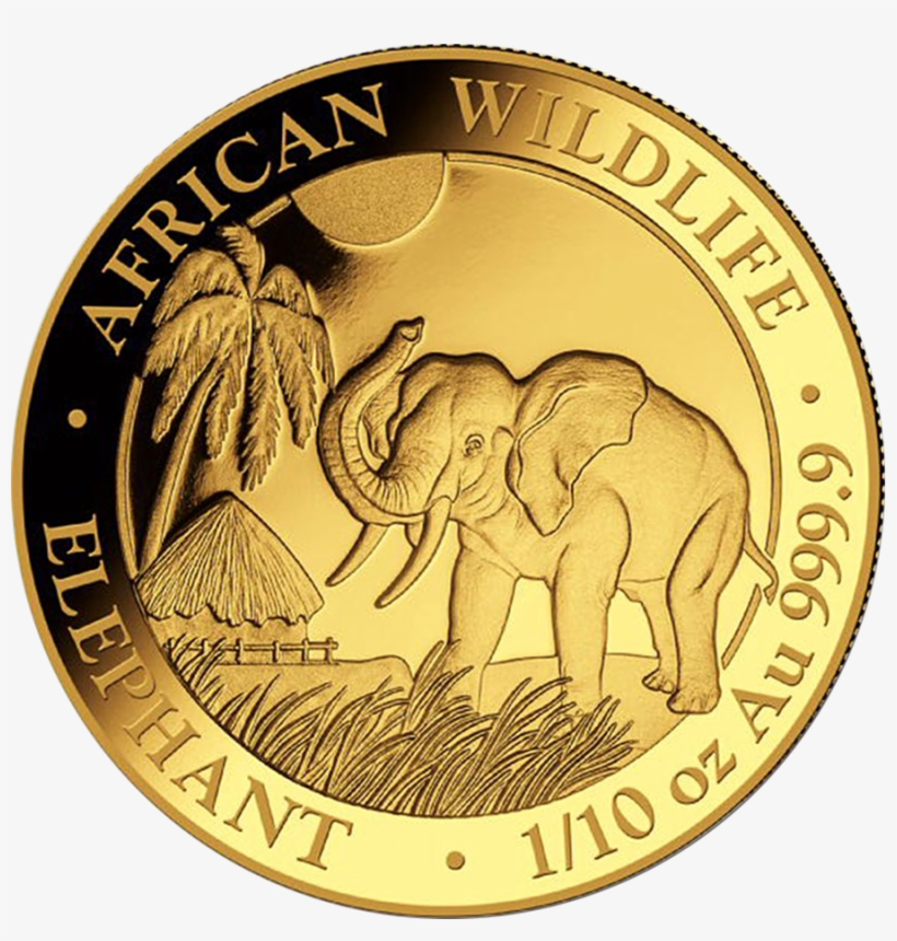 2017 Somalian Elephant 1/10oz Gold Coin - Somalia Elefant 1 2, transparent png download