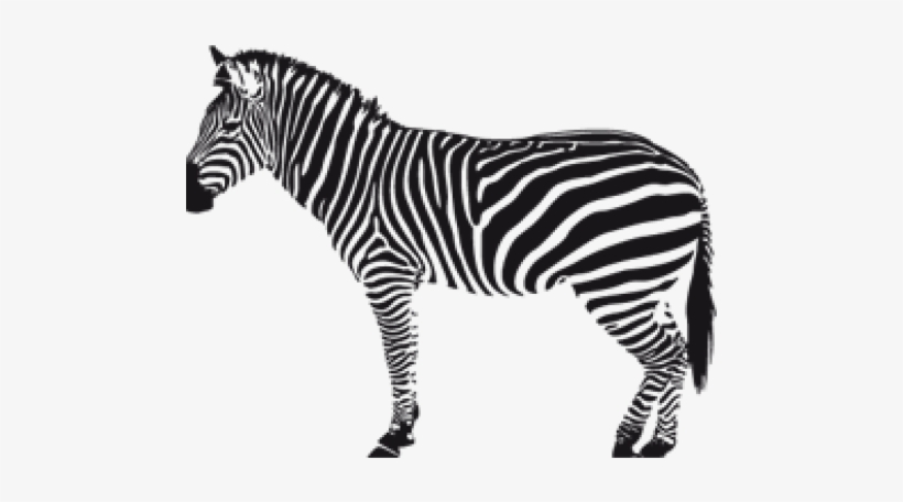 Zebra Png Transparent Images - Black And White Zebra Silhouette, transparent png download