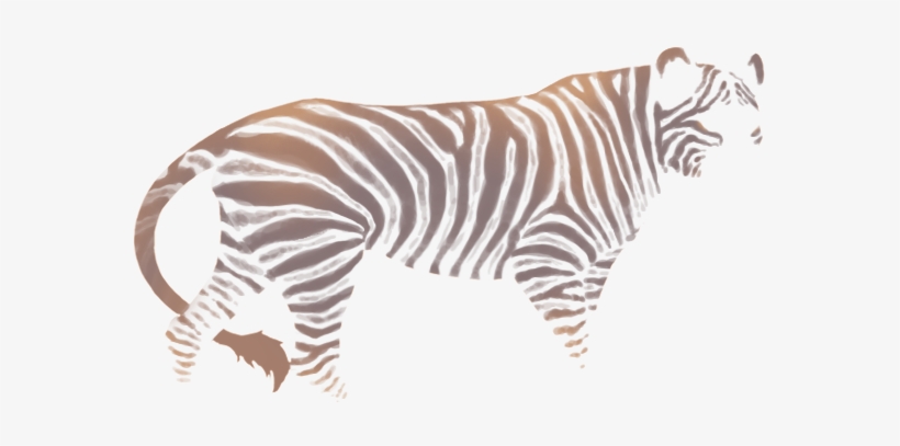 Hellebore-zebra - Zebra, transparent png download