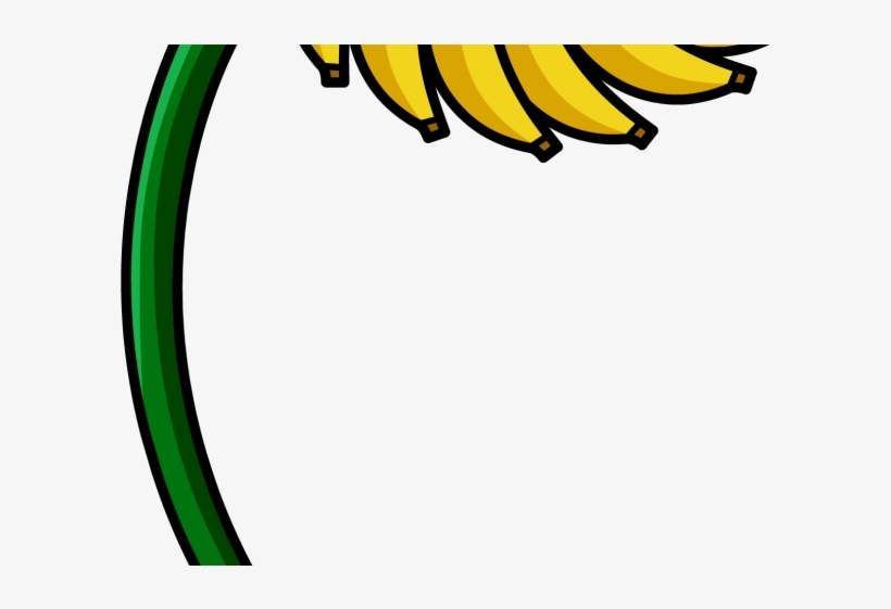 Banana Clipart Bunch Banana, transparent png download