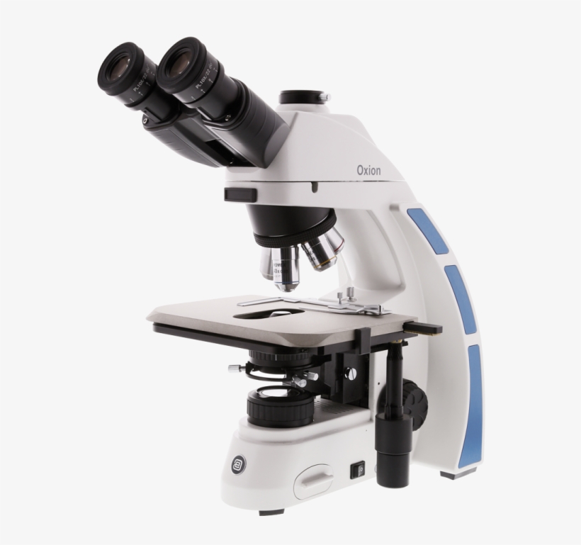 3035 With Ceramic Stage - Euromex Oxion Microscope, transparent png download