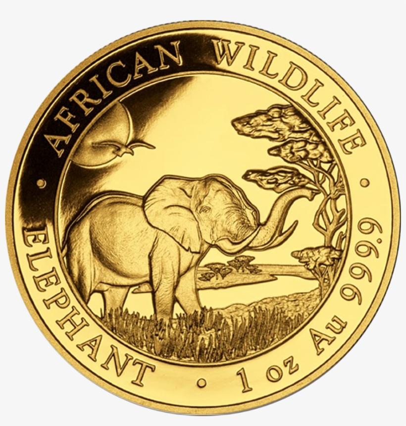 2019 Somalian Elephant 1oz Gold Coin - Elephant Coin, transparent png download