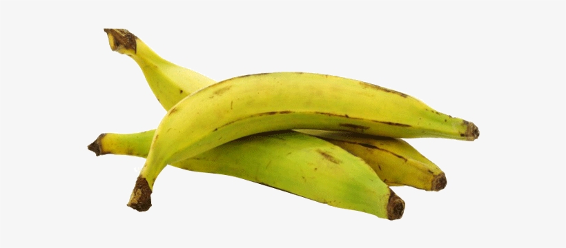 Plantain Canada, transparent png download