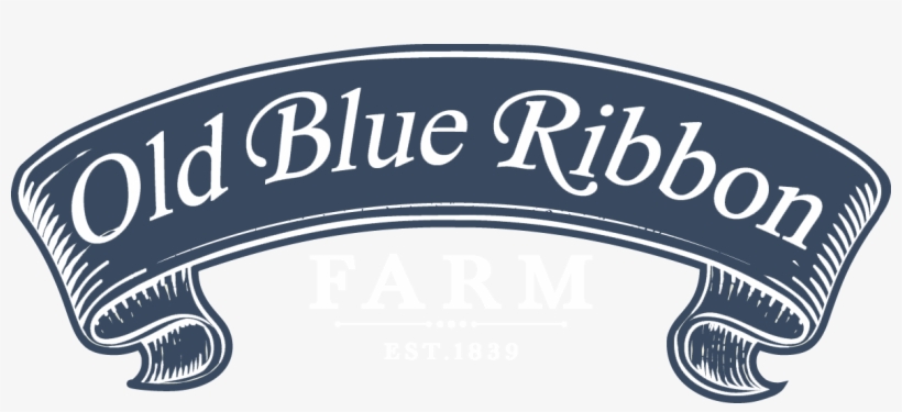 Old Ribbon Png, transparent png download