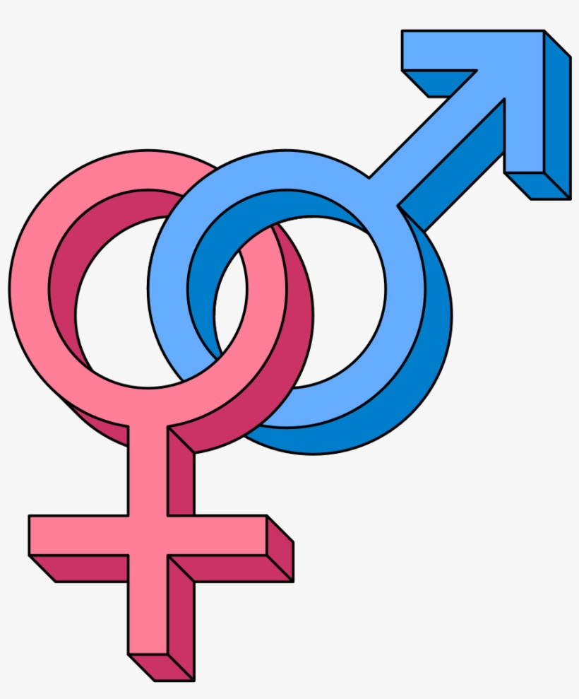 Heterosexual Symbol 3d - Heterosexual Symbol, transparent png download