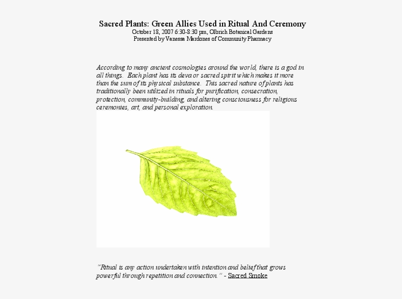 Doc - Tree, transparent png download