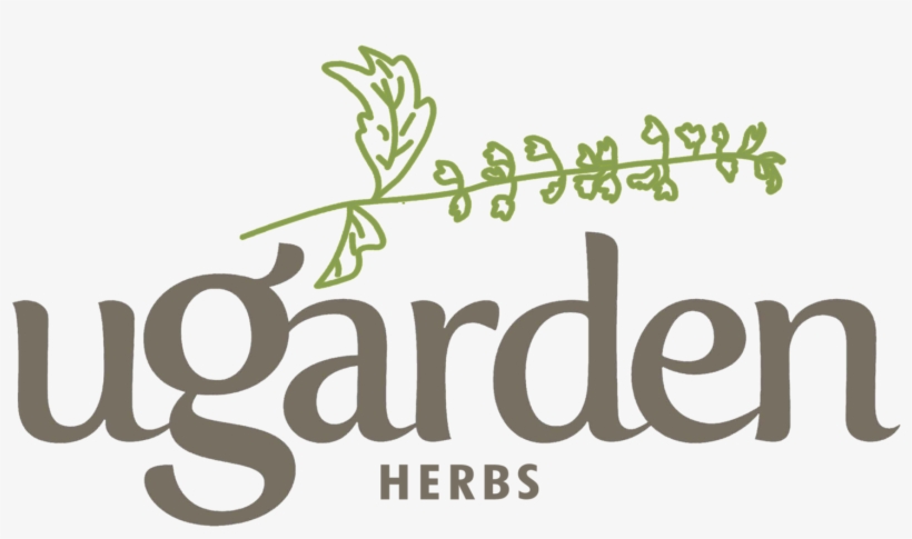 A Has A Transparent Background, And Should Only Be - Calligraphy, transparent png download