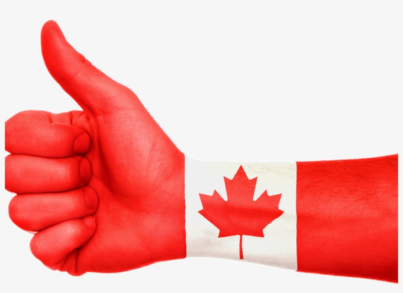 Illegal Immigrants Face Stark Choices Many Look To - Canada Flag, transparent png download