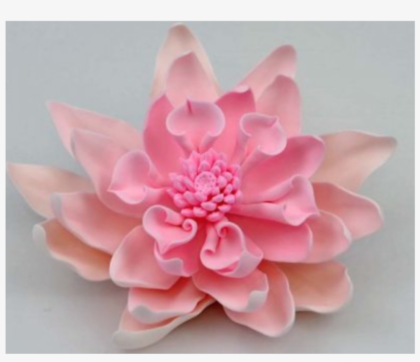 Gumpaste Extra Large Dahlia Pink - Dahlia, transparent png download