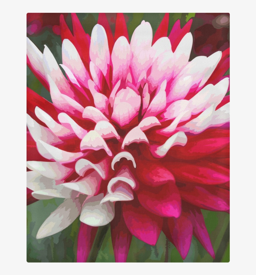 Dark Red Dahlias - Wallpaper, transparent png download