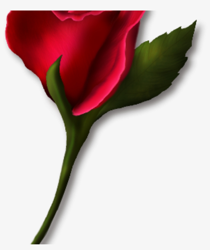 Single Rose Clipart Single Rose Clipart Png Real Clipart - Clipart Of A Single Rose, transparent png download