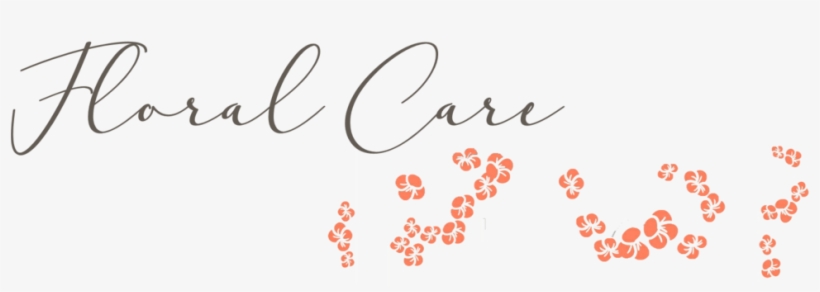 One Of The Top Questions We Are Asked From Our Customers, transparent png download