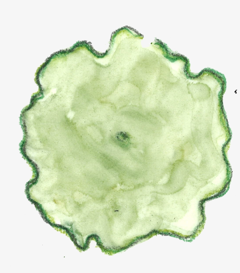Tree 2 1001 Kb - Porcelain, transparent png download
