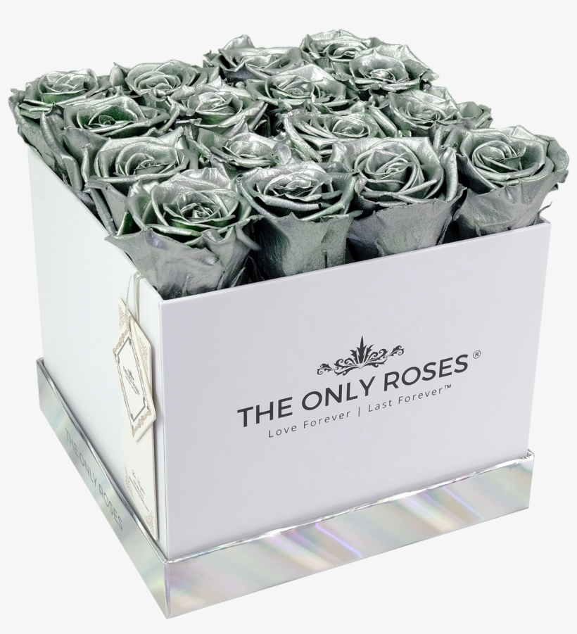 Silver Preserved Roses - Box, transparent png download
