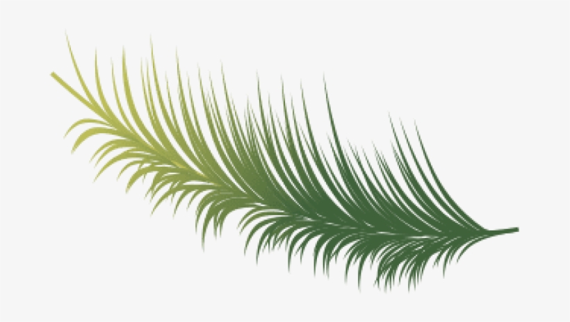 Free Png Download Coconut Leaves Vector Png Images - Illustration, transparent png download
