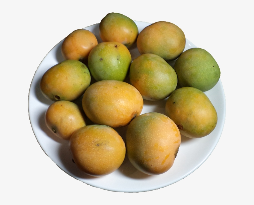 The Gallery For > Sugar Cane Juice Glass Png - Ataulfo, transparent png download