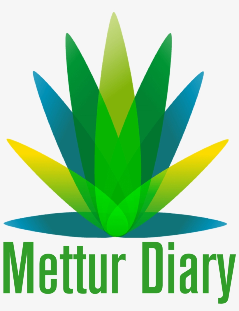 #best #candid #chennai #photographers #professional - Mettur Dam Water Level Now, transparent png download