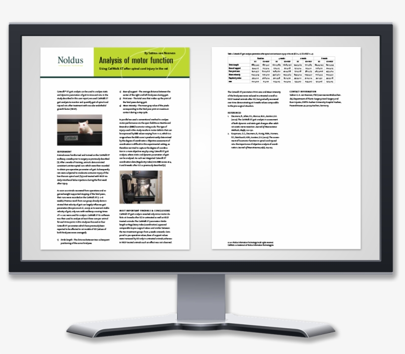 Casestudy Display Catwalk - Computer Monitor, transparent png download